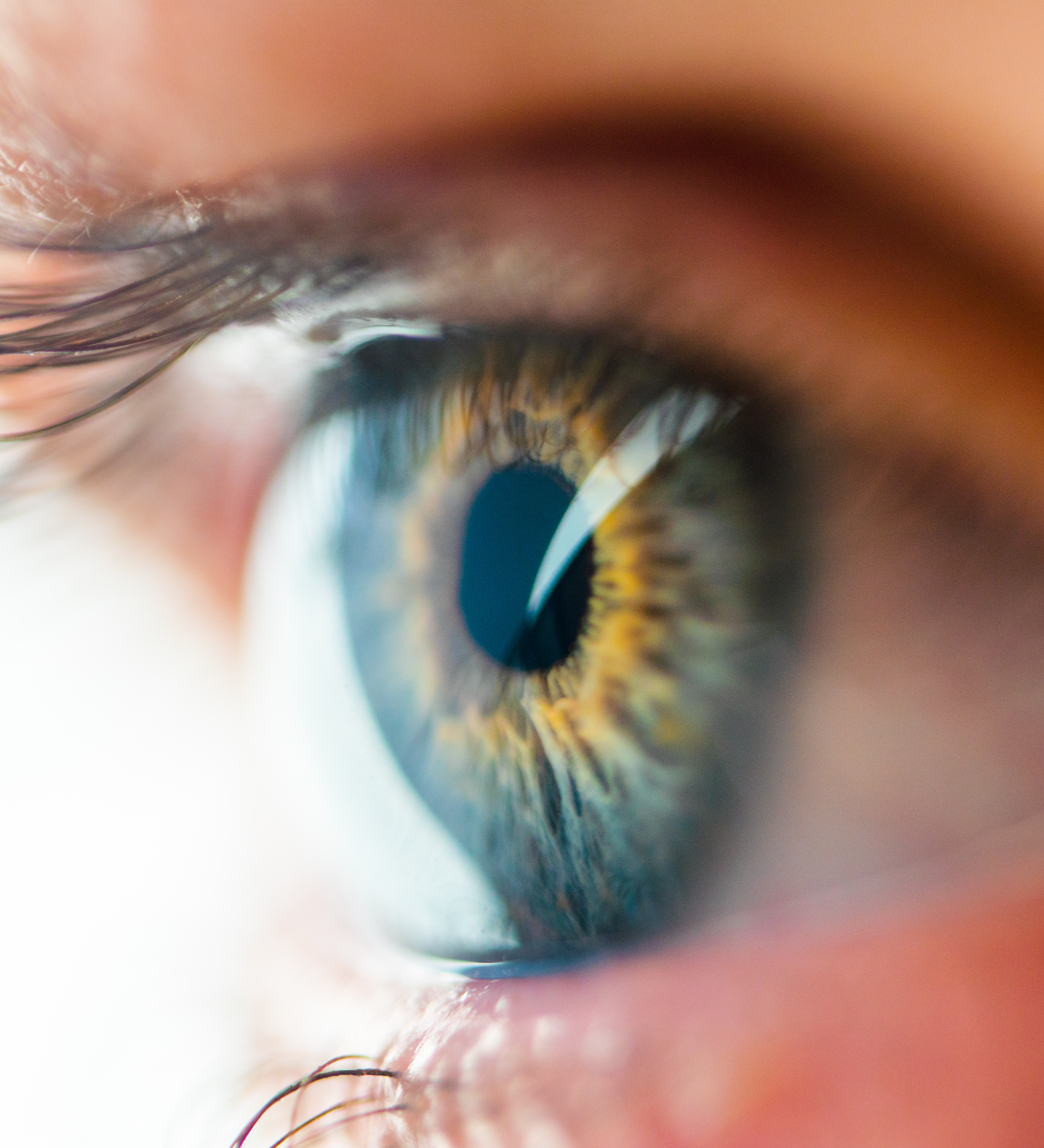 Analyse de la vue- Santé visuelle à portée de main